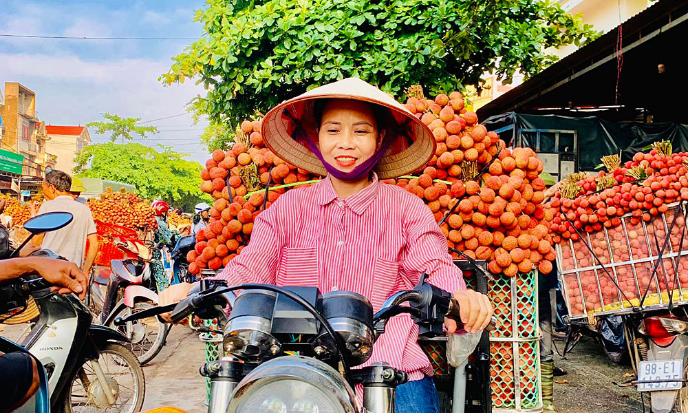 Nông dân Lục Ngạn mang vải thiều đi tiêu thụ.